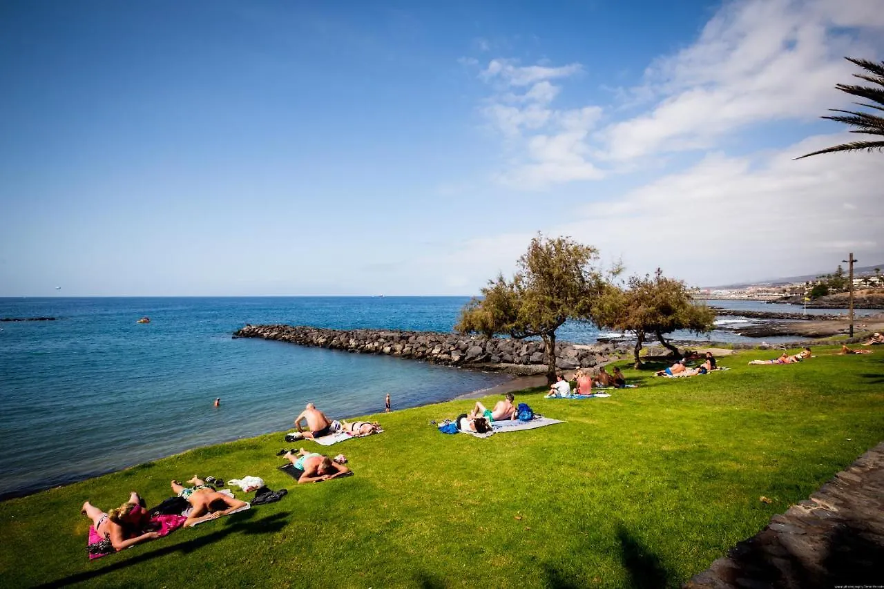 8'Th Floor Ocean View Apartment In Las Americas 阿罗纳