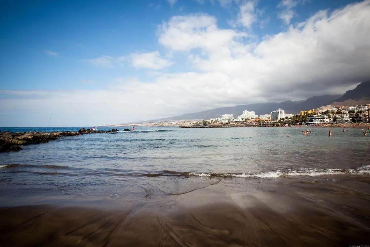 8'Th Floor Ocean View Apartment In Las Americas 阿罗纳
